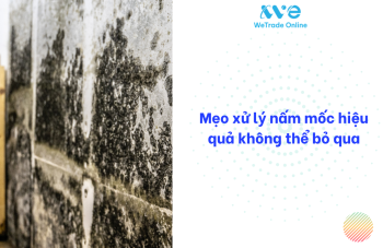 Mẹo xử lý nấm mốc hiệu quả không thể bỏ qua